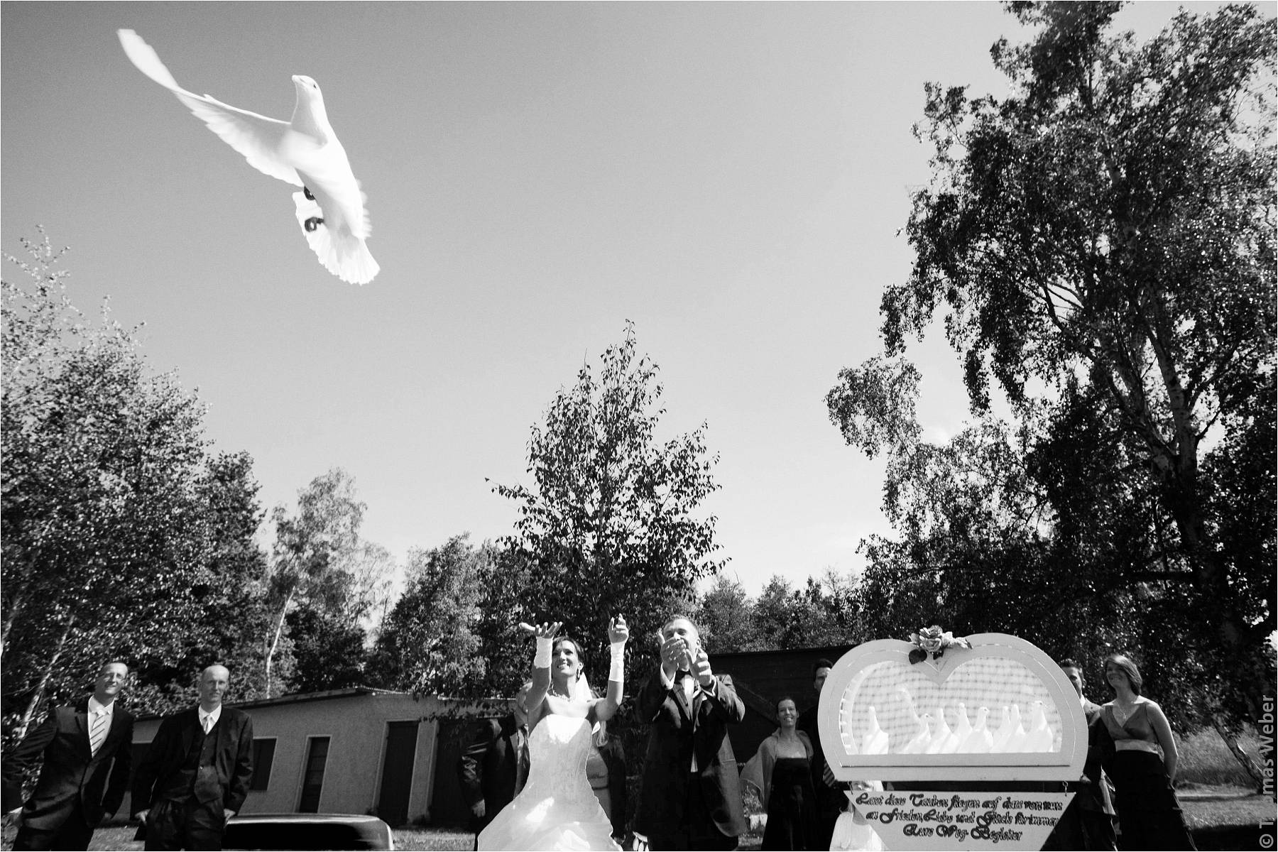 Hochzeitsfotograf Rangsdorf (Berlin): Hochzeit auf der Insel Falkenstein in Rangsdorf nahe Berlin (22)