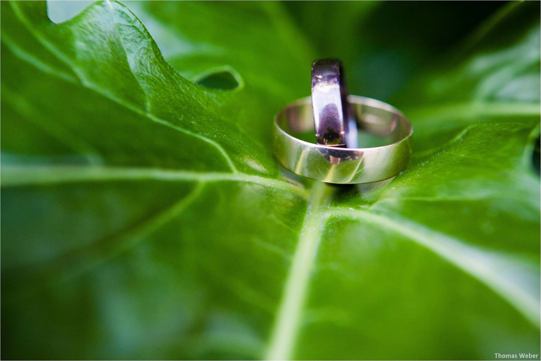 Hochzeitsfotograf Adare (Irland): Irische Hochzeit auf der grünen Insel (14)