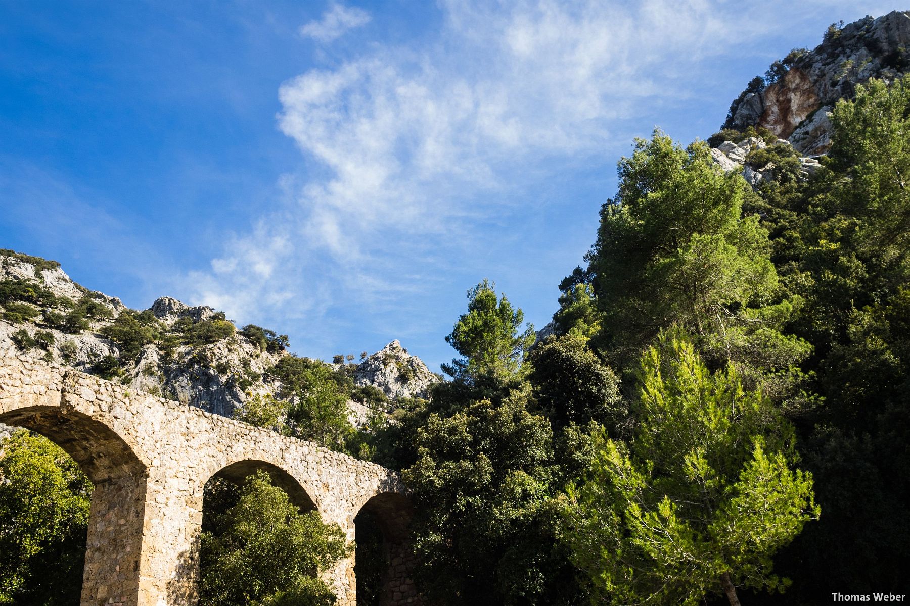 Hochzeitsfotograf Thomas Weber aus Oldenburg: Hochzeitsfotos und Paarfotos auf Mallorca (93)