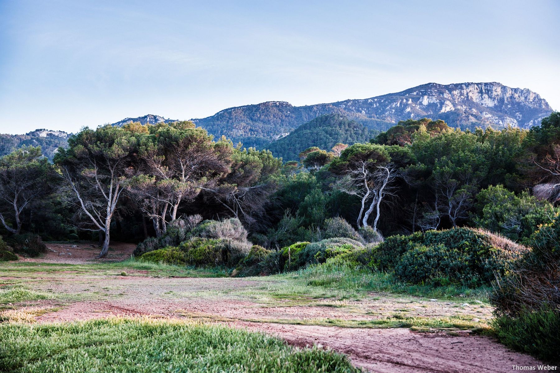 Hochzeitsfotograf Thomas Weber aus Oldenburg: Hochzeitsfotos und Paarfotos auf Mallorca (94)