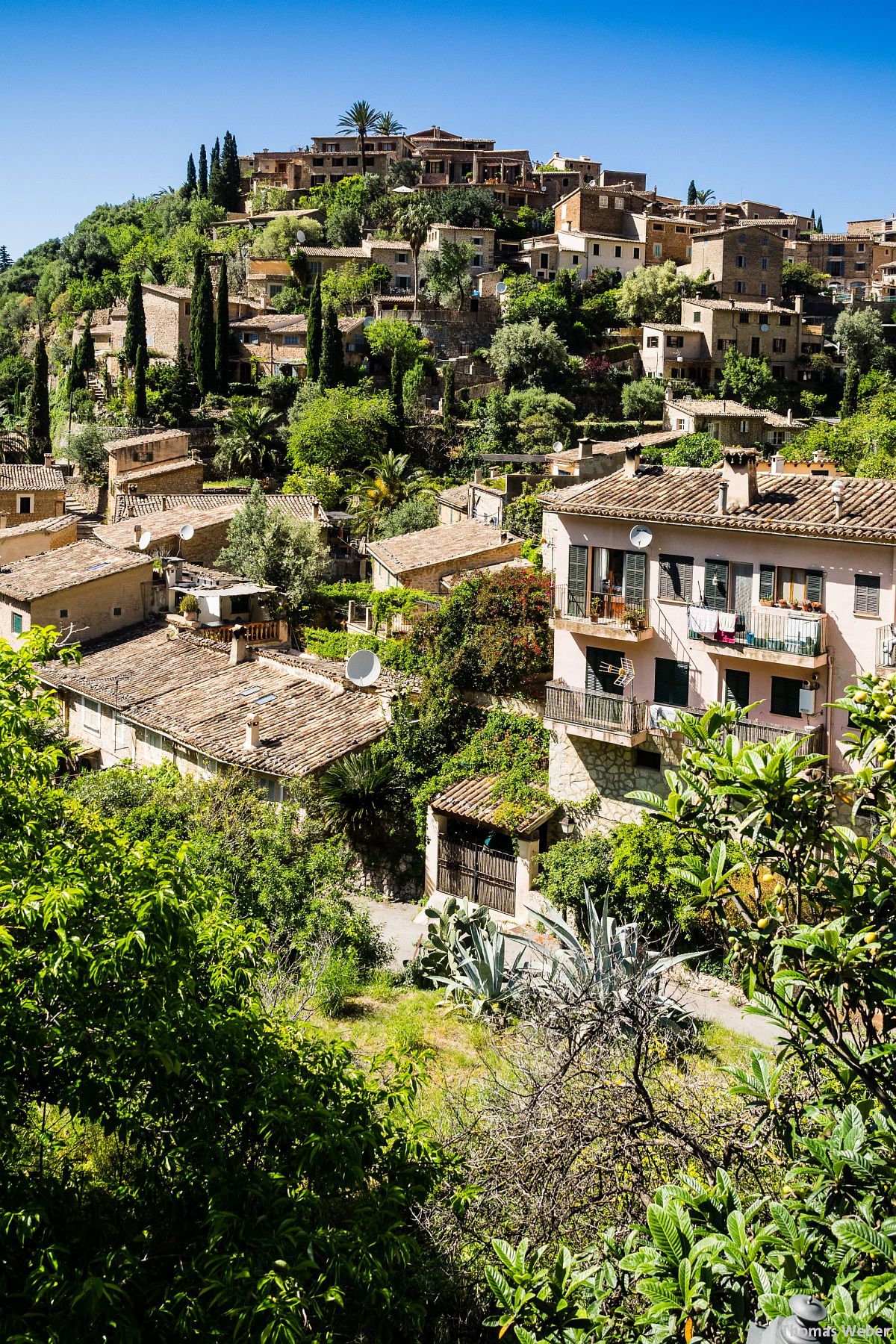 Hochzeitsfotograf Thomas Weber aus Oldenburg: Hochzeitsfotos und Paarfotos auf Mallorca (96)