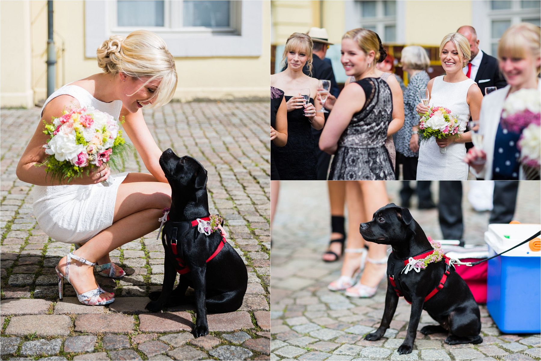 Hochzeitsfotograf Thomas Weber aus Oldenburg: Hochzeitsreportage und Hochzeitsfotos der standesamtlichen Trauung im Schloss Oldenburg, kirchlichen Hochzeit in der Lambertikirche Oldenburg und Hochzeitsfeier auf dem Gut Horn Gristede