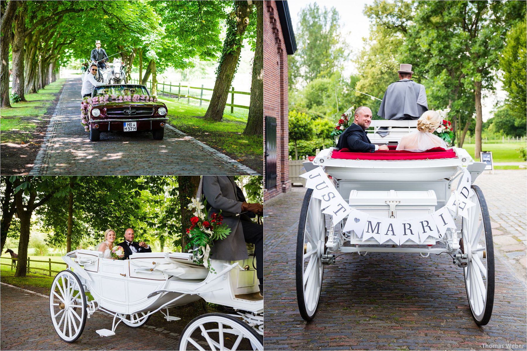 Hochzeitsfotograf Thomas Weber aus Oldenburg: Hochzeitsreportage und Hochzeitsfotos der standesamtlichen Trauung im Schloss Oldenburg, kirchlichen Hochzeit in der Lambertikirche Oldenburg und Hochzeitsfeier auf dem Gut Horn Gristede