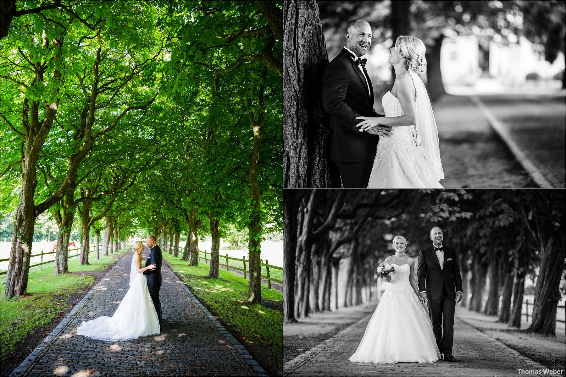 Hochzeitsfotograf Thomas Weber aus Oldenburg: Hochzeitsreportage und Hochzeitsfotos der standesamtlichen Trauung im Schloss Oldenburg, kirchlichen Hochzeit in der Lambertikirche Oldenburg und Hochzeitsfeier auf dem Gut Horn Gristede