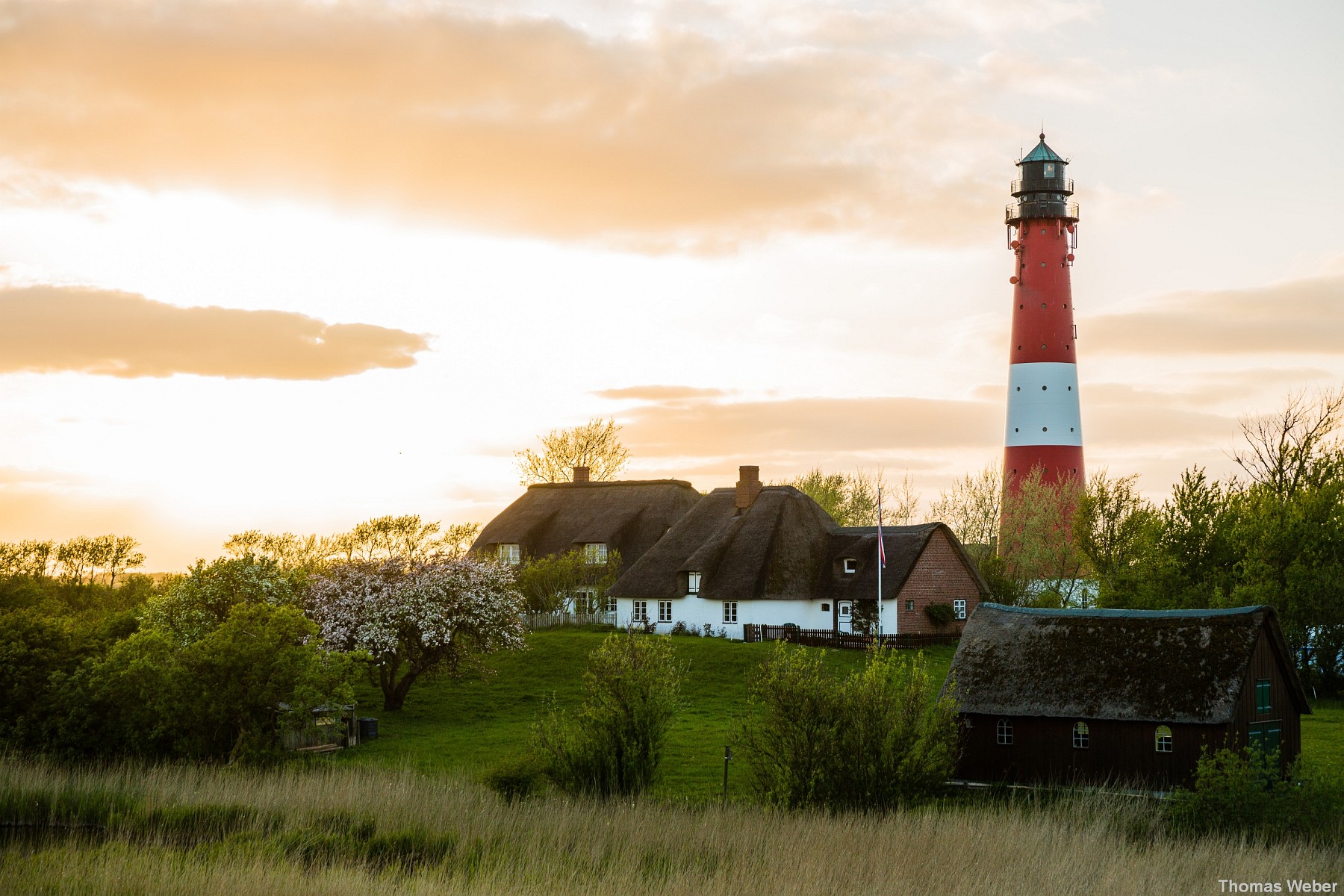 Standesamtliche Hochzeit auf dem Leuchtturm der Insel Pellworm, Hochzeitsfotograf Thomas Weber