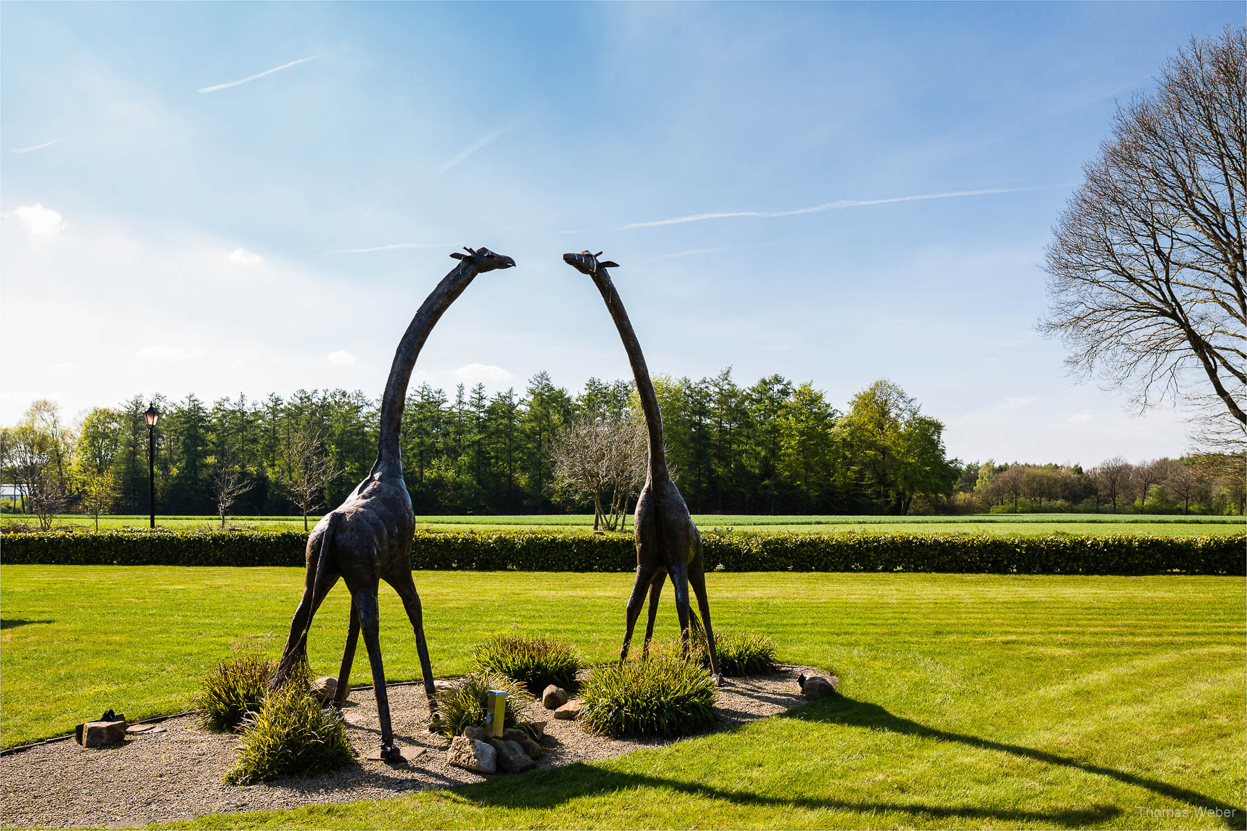 African Sky Hotel in Werlte, Hochzeitsfotograf Oldenburg, Thomas Weber