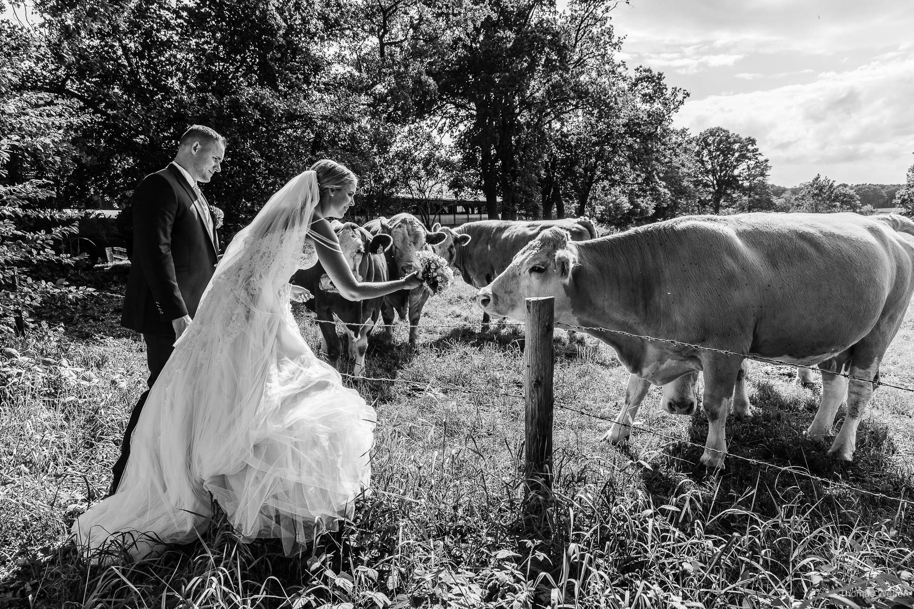 Hochzeitsfotos des Brautpaares in Bad Zwischenahn, Oldenburg und Rastede, Hochzeitsfotograf Thomas Weber