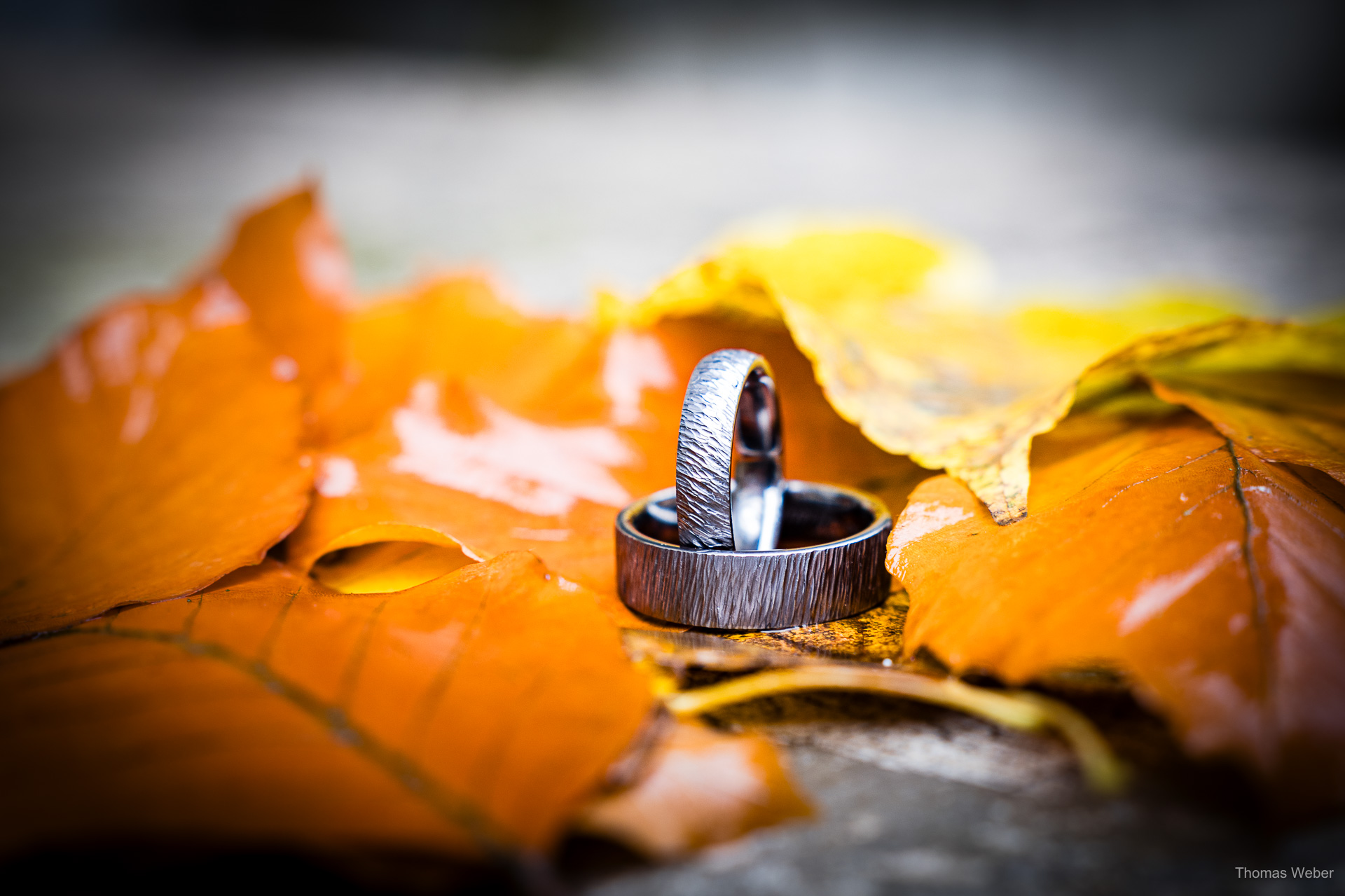 20251108 Hristina Benjamin Logo