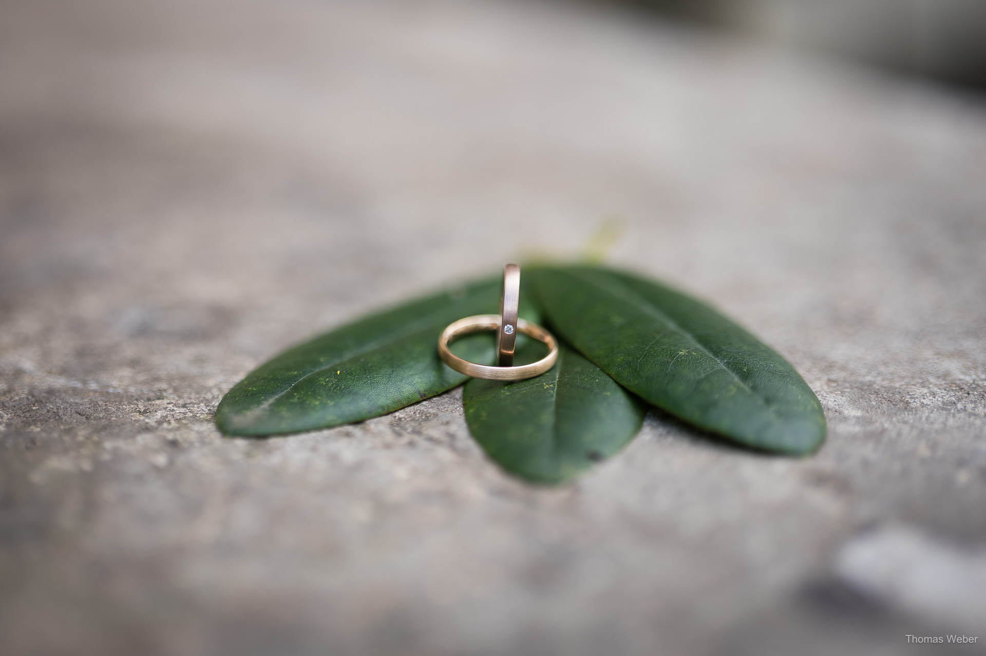 20260320 Olga Norbert Logo